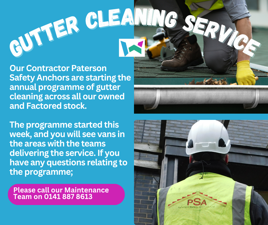 Gutter Cleaning Service